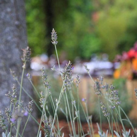Podere La Miniera Relax & Food Сієна Екстер'єр фото