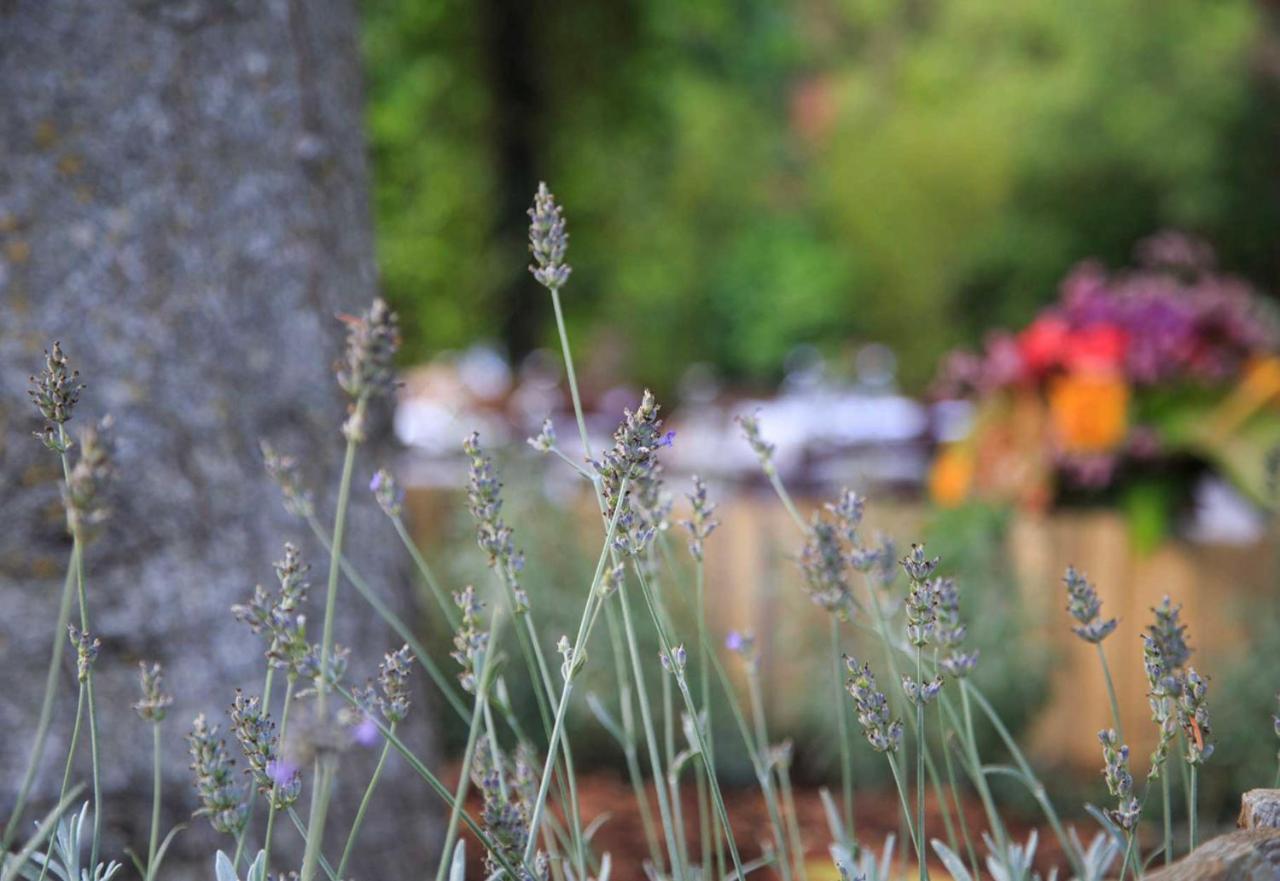Podere La Miniera Relax & Food Сієна Екстер'єр фото